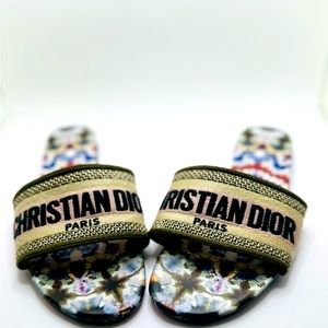 DIOR Slides